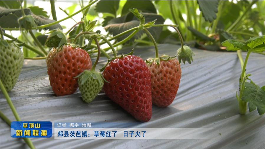 微信截圖_20220325184255.jpg