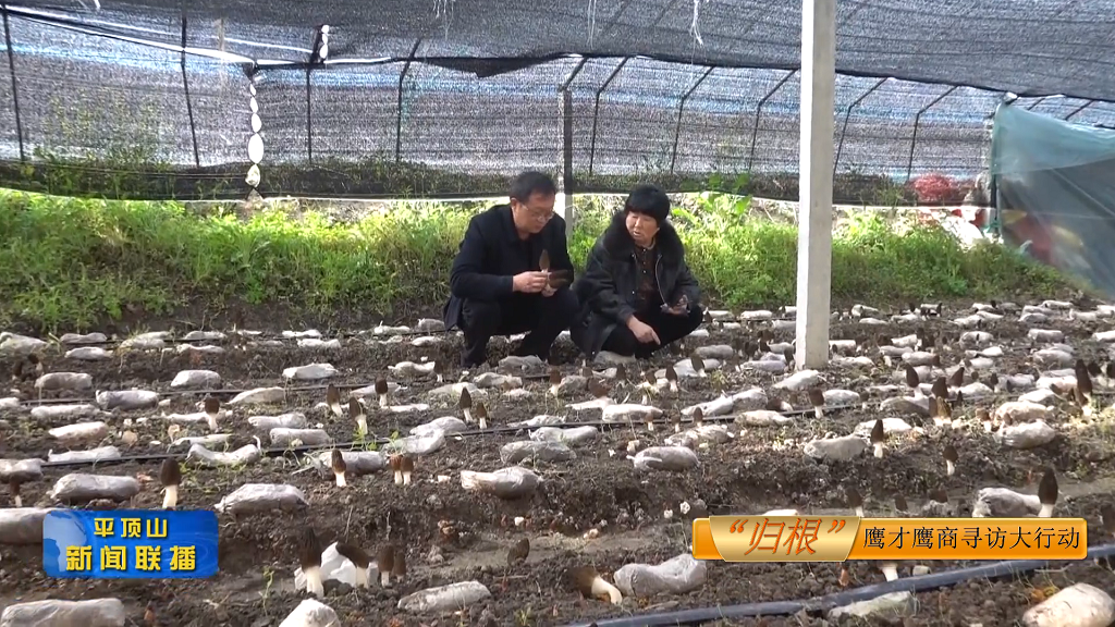 平頂山新聞2022年3月29日(7)[00_00_18][20220329-181040].png