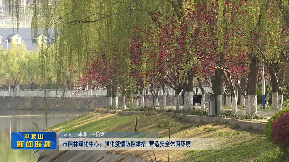 平頂山新聞2022年3月30日（12）[00_00_01][20220330-173639].png