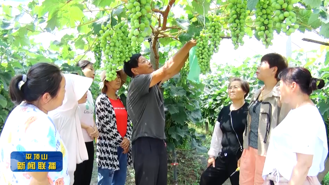 微信截圖_20220708180920.png