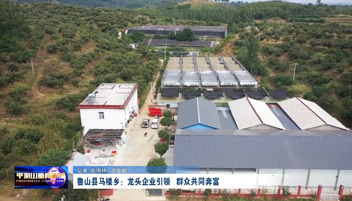 微信截圖_20241021151534.png