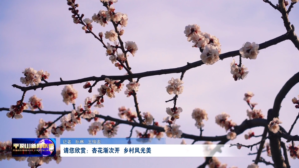 微信截圖_20250313165735.png